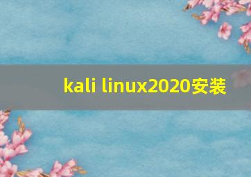 kali linux2020安装